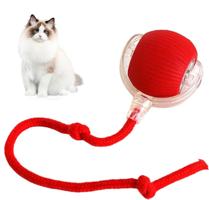 PawPet Interactive Smart Ball