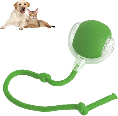 PawPet Interactive Smart Ball