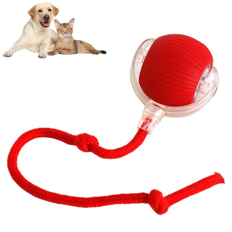 PawPet Interactive Smart Ball