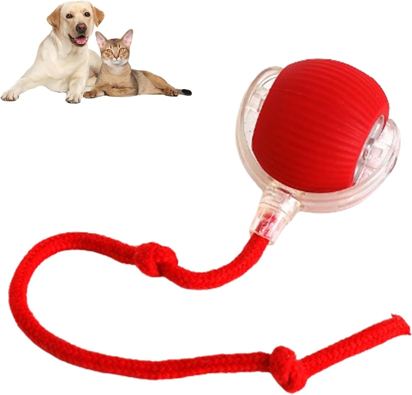 PawPet Interactive Smart Ball