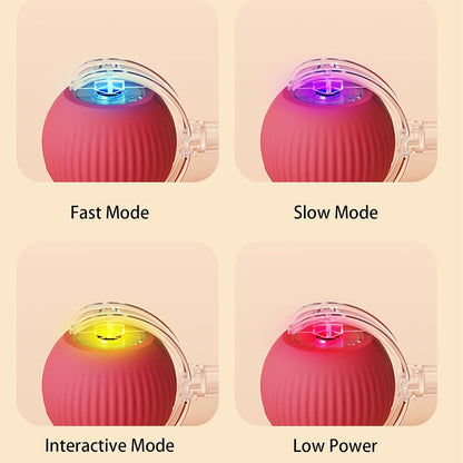 PawPet Interactive Smart Ball