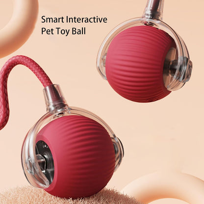 PawPet Interactive Smart Ball